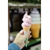 （例）生の大阪ぶどうを使ったソフトクリーム♪　出張販売可能！