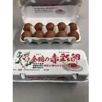 金鵄の赤彩卵　真っ赤な卵です。