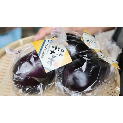 生でガブっと！！泉州水なすの詳細｜万博商談もずやんモール