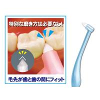 磨き残しにはワンタフトブラシ。歯ぐきが気になる方はレプトンがおすすめ
