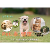 愛犬・愛猫と永く健康に　ケアオール®　歩行改善・リラクゼーション効果　ペット腹巻